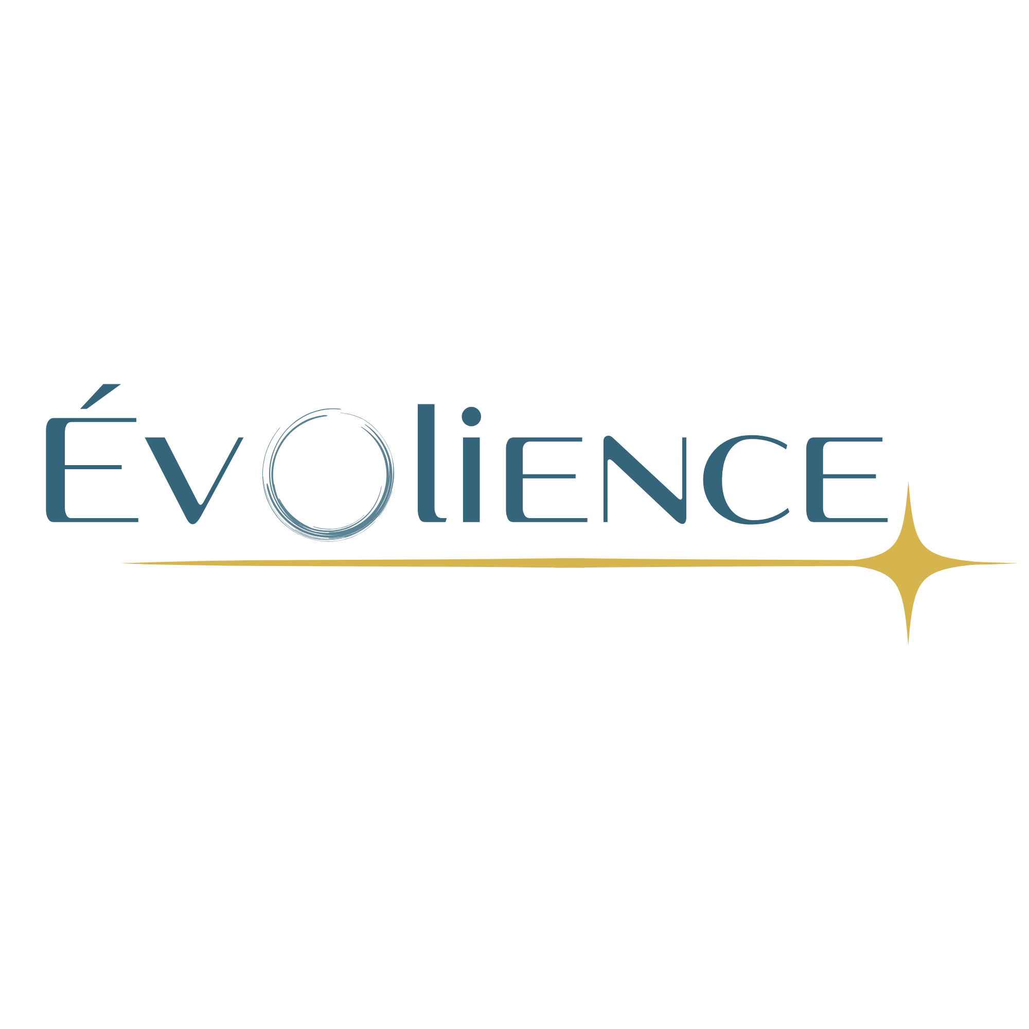 David RAITHIER – Evolience